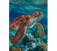 5D DIY Diamond Painting OcéAn, Diamond Painting Adulte Tortue, DIY Peinture Diamant Kits, 5D Diamant Point de Croix, Activité Manuelle Adulte Kits, pour Decoration Murale Maison, Cadeau 50x70cm P-3682