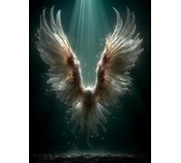 5D DIY Diamond Painting Plume, Diamond Painting Enfant Aile, Broderie Diamant Cristal Art Kits, 5D Peinture Diamant, Loisirs Créatifs Adultes, pour Décoration Murale Maison, Cadeau, 40x50cm 5-7711