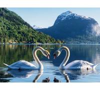 5D DIY Paysage Kits de Peinture Diamant, Complète Cygne Diamond Painting pour Adulte Débutants, Loisirs Créatifs Adultes Art du Diamant, Décoration Murale Maison Peinture Diamant 30x40 cm L0Y-1082