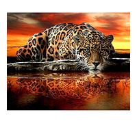 5D DIY Peinture Diamant par numéros Kit complet Diamond Painting Tigre léopard Point De Croix pour Adultes Strass Résine Diamant Broderie Art Décor de Maison Salon Chambre M90 Foret carré,40x50cm