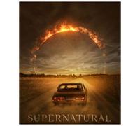 5D Full Drill Diamond Painting Kit Volwassenen Supernatural TV Serie Fantasy Film Muurdecoratie 16x20 inch