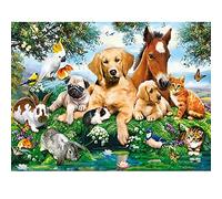 5D Kit de Peinture Diamant Cheval Chien Chat DIY Broderie Diamant Kit Complet Adulte Enfants Grand Format Diamond Painting Strass Point de Croix Artisanat Décor Murale à La Maison Round Drill 30X40cm
