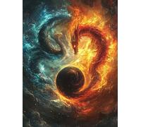 5D Le Dragon Diamant Painting Kit, DIY Tai Chi 2 Art du Diamant Complet Kits, Diamond Art Kits Strass Point de Croix Cristal Painting pour Adultes, Kit artisanal Débutants Maison Décor 35x45cm Ja0z451