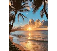 5D Les Cocotiers Diamant Painting Kit, DIY Coucher De Soleil Art du Diamant Complet Kits, Diamond Art Kits Strass Point de Croix Cristal Painting Adultes, Kit artisanal Débutants Décor 35x45cm Ja0z506