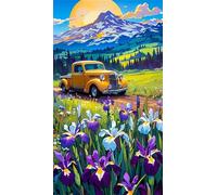 5D Montagnes d'Iris Diamond Painting Kit pour Adulte,DIY Round Drill Broderie Diamant Art Painting Kit Complet,Strass Point de Croix Diamant Painting Kit Artisanat pour Murale Décoration 70x150cm