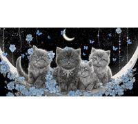 5D Peinture Diamant Adulte, La lune du chat Diamond Painting Complet Cristal Diamant Kit Enfants, DIY Strass Point de Croix Painting pour Murale Décoration Artisanat Décor À La Maison 40x70cm F501