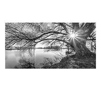 5D Peinture Diamant Complet Grand Format,Arbre au bord du lac DIY Diamond Painting Par Numéro Kits Grande Taille Strass Broderie Point de Croix Arts Craft Adulte Enfant Maison Salon Décor 40x120cm