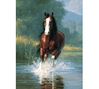 5D Peinture Diamant Painting Kit, DIY Animal Cheval RivièRe Diamond Painting Adulte Kits, Diamond Art Strass Point de Croix Painting pour Débutants Maison Décor, Cadeaux pour femmes 70x90cm hJ5-167