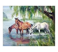 5D Peinture Diamant pour Enfants et Adultes Kits Complets Cheval du lac Diamond Painting Diamant Complet Point de Croix Kits Arts Craft pour la Décoration Murale à la Maison Square Drill 30x40cm