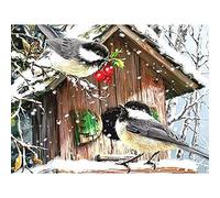 5D Peinture pour Enfants et Adultes Kits Complets Nourriture de chasse aux oiseaux Diamond Painting Complet Point de Croix Kits Arts Craft pour la Décoration Murale à la Maison Square Drill 30x40cm