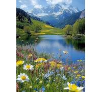 5D Vallée Peinture Diamant Painting Kit, Complet Diamond Painting pour Adulte, DIY Lac Diamant Kits, Diamond Strass Point de Croix Peinture Débutants pour Décoration Murale Maison 80x100cm -3146