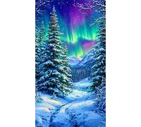 5D Winter Aurora Grove Diamond Painting,DIY Round Drill Broderie Diamant Painting Complet pour Adultes,Art du Diamant Peinture Strass Point de Croix Painting pour Maison Murale Décor 30x70 cm