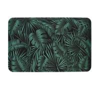 5five - plateau jungle