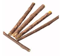 5pcs / 1 Sac Chat Chat Chaton bâton à mâcher Traiter Jouet Naturel matatabi Herbe à Chat Herbe molaire élégant et Populaire Convenient Handled