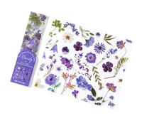 5pcs Bookmar De À Fleurs Séchées Naturelles Diviseur Page Compagnie Sécarrière Marker Book Book Pour Le Professeur D'amant Livre