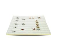 5pcs Hundred Positon Ring Display Mat Storage Props Jewelry Tray Inner Liner Box Insert Pad DIY Sponge 33.5 * 22.5 * 1cm(White PU)