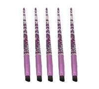 5pcs Professional Glitter Makeup Makeup Brush Set Soft Hirline Cosmetic Tool pour voyager à la maison