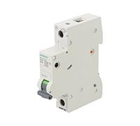 5SL6132-6 Interrupteur de surintensité 230VAC nom: 32A pôle: 1 DIN caractère:...