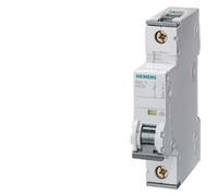 5SY5 DISJONCTEUR SURINTENSITÉ C 6A 1P 1M 220V DC 5SY5106-7