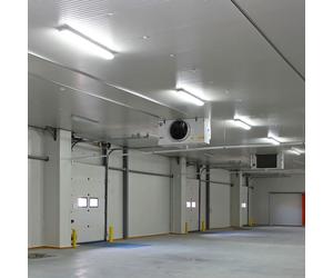 5x Baignoires LED, lampes, tubes, pièces humides, entrepôts, halls, bureaux, plafonniers, blanc