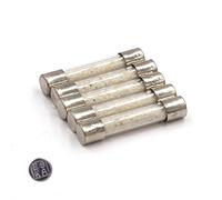 5x Fusible temporisé (T) en verre 6.3A / 250VAC 6.3x32mm