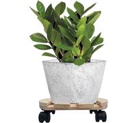 5X Roulettes À Plantes Rondes 30Cm 120 Kg Sous-Pot De Fleurs Chariot
