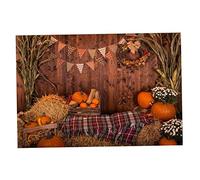 5x3ft Fall Fabric Thanksgiving Thanksgiving Day Photography Fteledrop Automne Pumpkins Maple Feuilles de Foin du Tournesol.