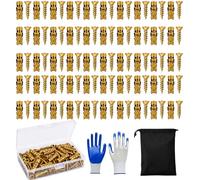 6×14mm Door Hinge Repair Screws, Short Expansion Anchors for Cabinets (Gold,60PCS)