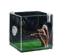 6,5 x 6,5 x 6,5 cm sans lumières LED - Récipient en verre transparent pour reptiles - Terrarium multifonction pour reptiles - Accessoire pour escargots, lézards, coléoptères