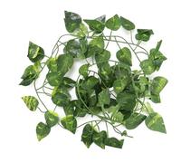 6.89ft Reptiles Artificielle Vigne en Plastique Faux Feuilles Suspendues Vert Simulation Plante Flexible Jungle Vines Grimpeur pour Reptiles Lézard Caméléon Habitat Décor(#1)