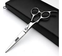 6' Cheveux Stylist Main gauche Ciseaux Salon de coiffure Studio Professional outils de modelage Ciseaux de coupe + ciseaux à effiler