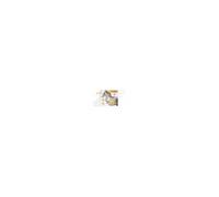 6 Cibles Coyote En Rayon X - 47x42 Cm