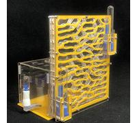 6 Couches Fourmi Raisin humidité Zone d'alimentation Fourmi Ferme Acryl Insecte Villa Fourmis nids Villa Animal de Compagnie avancée Manie pour Fourmis Maison (Jaune)