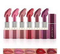 6 couleurs ensemble de rouge à lèvres, mat velours lisse hydratant rouge à lèvres longue durée imperméable coupe antiadhésive Sexy Nude rouge à lèvres maquillage cadeau ensemble (A)