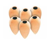 6 doseurs d’eau pour plantes en pot [Royal Gardineer]