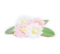 6 Eglantines + 6 Feuilles Vertes Azyme (Blister)