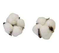 6 fleurs de coton - hobi dek0815 Blanc G