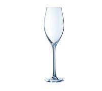 6 Flûtes 24 cl Séquence Chef & Sommelier