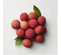 6 Graines de Letchi de Chine - SemiSauvage Permaculture