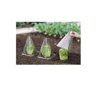 Wenko - 6 Housses pour plants Incolore G