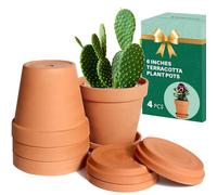 6 inch Terra Cotta Pots avec Soucoupe en céramique Argile, Pot de Fleurs en Cactus, Pot de Fleurs Succulent, Trou de Drainage, idéal pour Les Plantes, Les travaux manuels, Les Cadeaux de Mariage