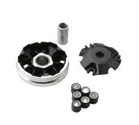 6. Kit de poids à rouleau 6G compatible avec 50cc 4T, y compris l'agilité 50 pouliche DJ comme les modèles de la vitalité des gens de People 8