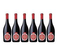 6 LAMBRUSCO di Mantova doux pétillant FEUDO ITALIA
