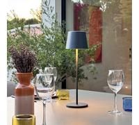 6 lampes LED avec plateau de chargement kelly H38CM Lumisky