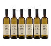 6 MULLER THURGAU Trentino DOC Fondazione E. MACH