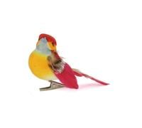 6 Oiseaux Couleur Sur Pince - 8x3,5x3,5 Cm