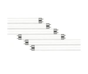 6 Pack T4 12W Tubes Fluorescents,Ampoule T4 419mm,Blanc Froid 4000k,Base G5,Tube Fluorescent,Tube neon,Mini Ampoule,Éclairage D'urgence À Économie D'Énergie pour Cuisine,Salle De Bain,Eclairage Garage