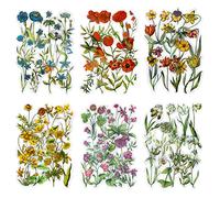 6 paquets d'autocollant de scrapbooking autocollant de scrapbooking autocollant de fleur autocollant de planificateur de décoration pour le journal de scrapbooking Album Journaux DIY Art (Vincent)