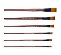 6 PCS PEINTURATION MULTIFONCTIONNELLE Nylon PEINTURATION DE BROSSES Artistes PEINTURES PEINTURES Plat ACRYLIS Brosse Set Hair Watercolor