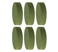 6 Pièces Base pour Composition de Fleur Ronde 16,5cm, Mousse Verte
